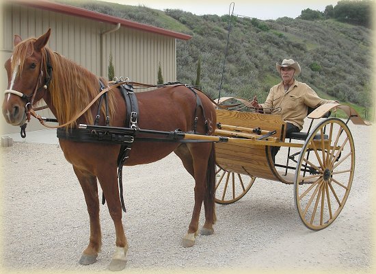 Driving Horse