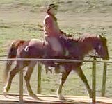 Marc and Cody on wooden bridge