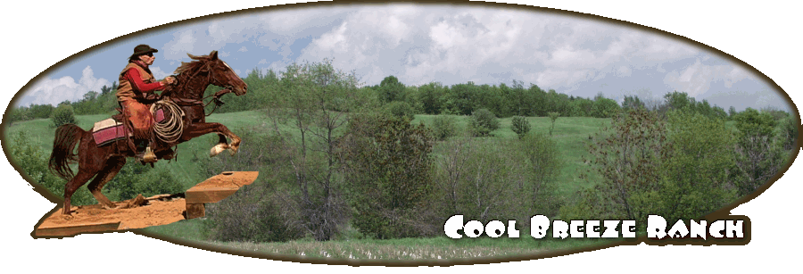 Cool Breeze Ranch Missouri Fox Trotters Marc Trubitz